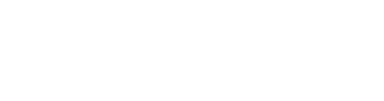 Johnson Fantastic Transport